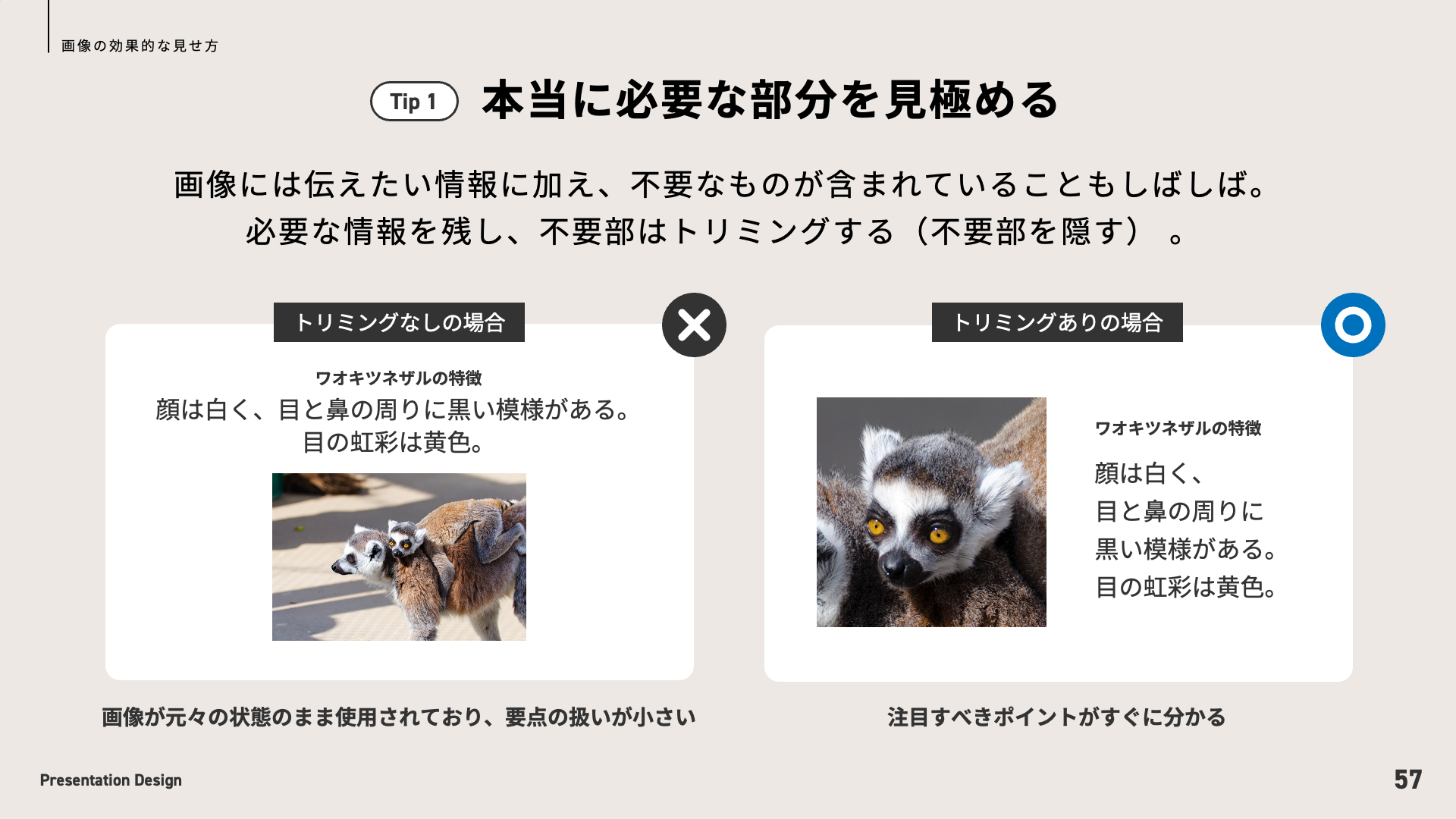 画像の効果的な見せ方｜本当に必要な部分を見極める
