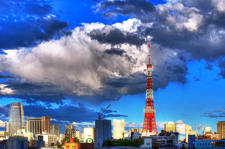 背景を切り取る前の画像