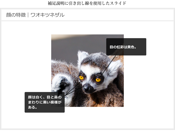 補足説明に引き出し線を使用したスライド