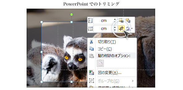 PowerPointでのトリミング