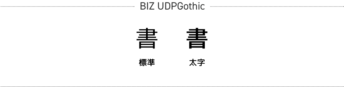 BIZ UDPGothic